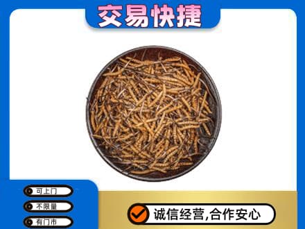 宜昌市枝江礼品回收虫草.jpg